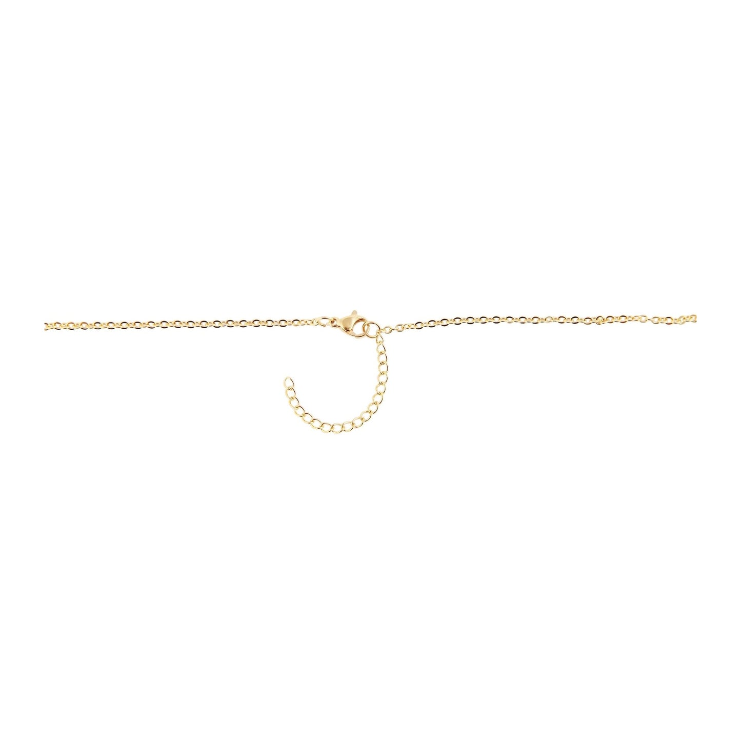 Damen Halskette – Ankerkette Medaillon aus Edelstahl 43 cm