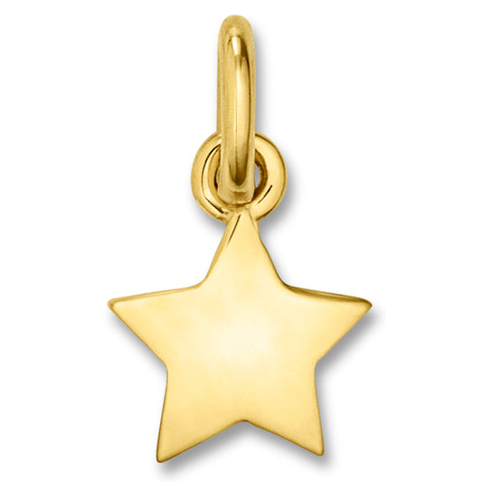 One Element  Stern Anhänger aus 333 Gelbgold
