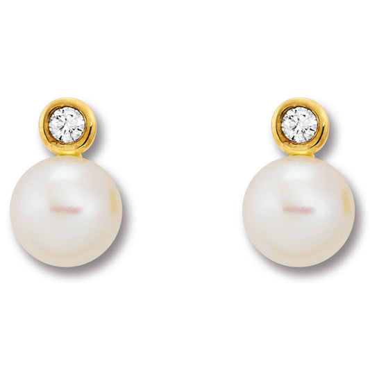 Zirkonia Ohrringe   Ohrstecker aus 333 Gelbgold